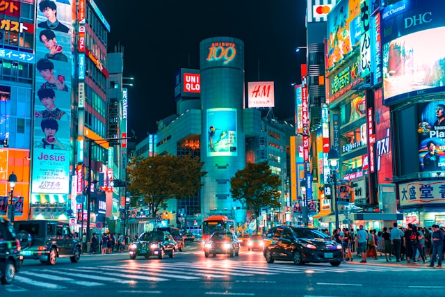 일본 워드프레스 시장 현황
